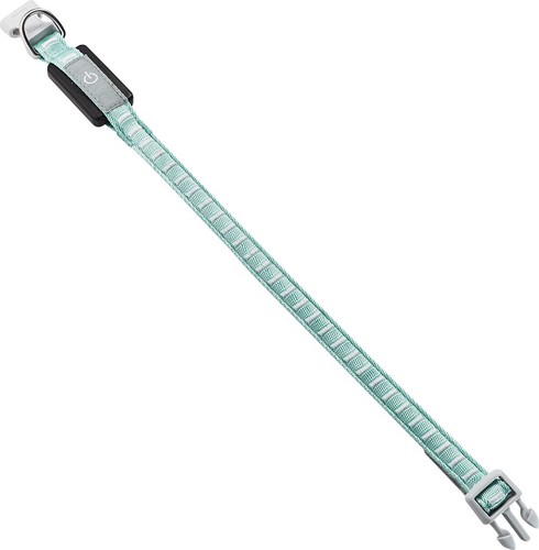Accessori per cani collare led - cani,