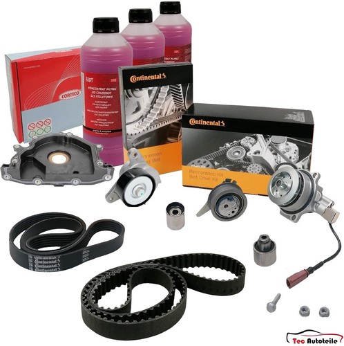Cinghia distribuzione